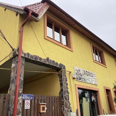Casa Anna Targu Mures Exterior photo
